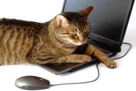 Tierarztpraxis 5.0 – die digitale Transformation, TEIL 2