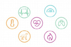 biometrics-and-the-digital-patient-how-wearable-technology-is-revolutionizing-veterinary.jpeg