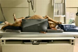 radiographic-positioning-for-veterinary-nurses.jpeg