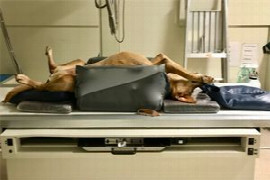 Radiographic Positioning for Veterinary Nurses