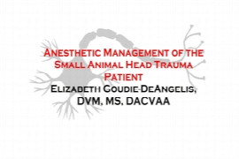 Anesthetic Management of the Head Trauma Patient for Veterinary Nurses