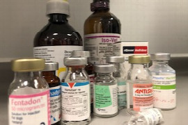 anasthesie-analgesie.jpeg