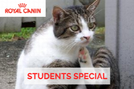 Students Special_300x200.png