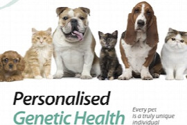 emergency-pet-swallows-genetics-it-s-an-easy-screening-no-equipment-needed.jpeg