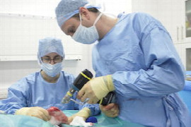 Reducing the Risk of Surgical Site Infections (for veterinary nurses)