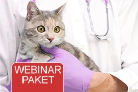 Webinar Paket - Grundlagen der Katzenmedizin