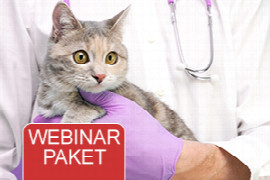 Webinar Paket - Grundlagen der Katzenmedizin