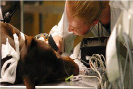 anaesthesia-part-one-CL1452897716.jpeg