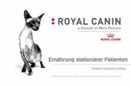 ernahrung-stationarer-patienten.jpeg