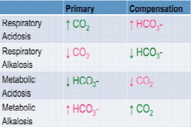 Interpretation of Acid Base For Emergency Medicine