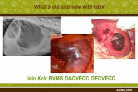 What's old and new with GDV