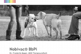nobivac-bbpi.png