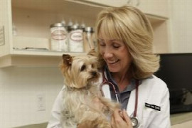 Contrôle des parasites chez le chien, comment s’y retrouver?