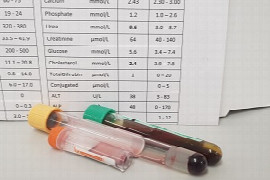 Biochemistry Interpretation in the ECC (for Nurses)