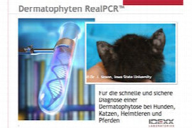 dermatophyten-realpcr.jpeg