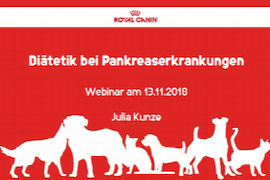 dia-tetik-bei-pankreaserkrankungen.png