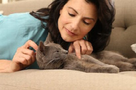 La maladie rénale chronique du chat: diagnostic, prise en charge et suivi