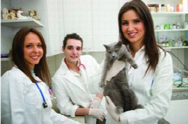 key-aspects-of-preventative-healthcare-for-veterinary-nurses.jpg