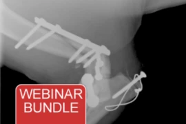 Webinar Bundle - Fracture Repair