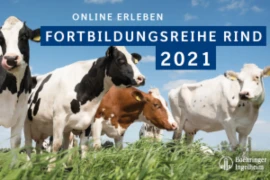 Abbildung_Digitale Fortbildungsreihe Rind 2021_2_300x200px.png