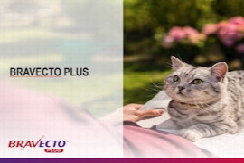 bravecto-plus.jpeg