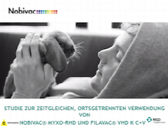 nobivac-myxo-rhd-und-filavac-vhd-k-c-v.png