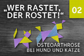 Wer rastet, der rostet! Medikamentelle Therapie (Teil 2 von 3)