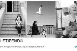 letifend.jpeg