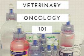 introduction-to-veterinary-oncology.png