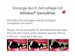 whiskasa-dentabites.jpg