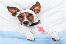 bandaging-techniques-for-nurses-1.jpeg