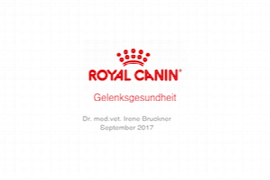 gelenksgesundheit.png