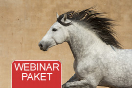 Webinar Paket - Grundlagen der internen Pferdemedizin