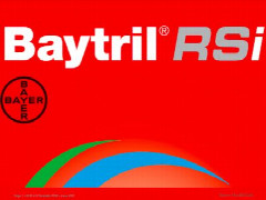 baytril-rsi-2.jpg