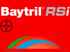 baytril-rsi-2.jpg