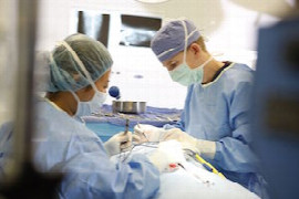 Les astuces pour ne pas paniquer face à une torsion d'estomac