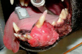 oral-tumours.png
