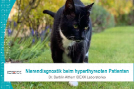 Nierendiagnostik beim hyperthyreoten Patienten_300x200.png