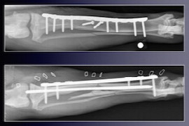 simples-ways-to-treat-difficult-fractures-in-dogs-and-cats.jpeg