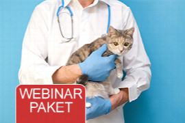 Webinar Paket - Katzenmedizin für Fortgeschrittene