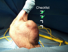 checklist-for-success-managing-skin-and-subq-tumours-in-dogs.jpeg