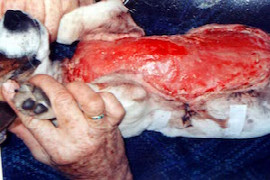 when-should-we-anaesthetise-trauma-patients-and-what-should-we-use-CL1461893714.jpeg